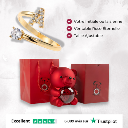 La Bague Initiale & Coffret Oursons Éternelle