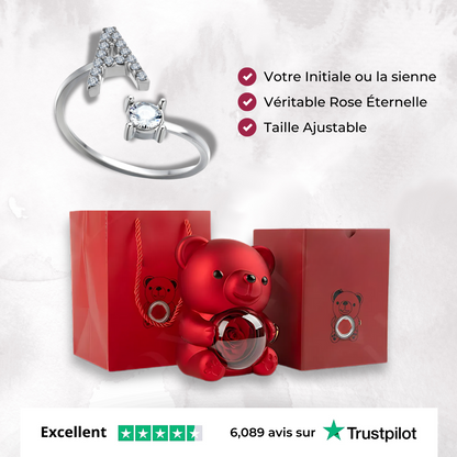 La Bague Initiale & Coffret Oursons Éternelle